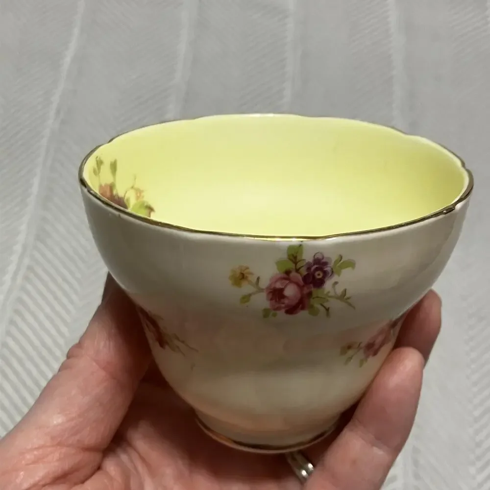 Foley Bone China Rosette Pink and Biqsue Teacup and Saucer Set Yellow Interior